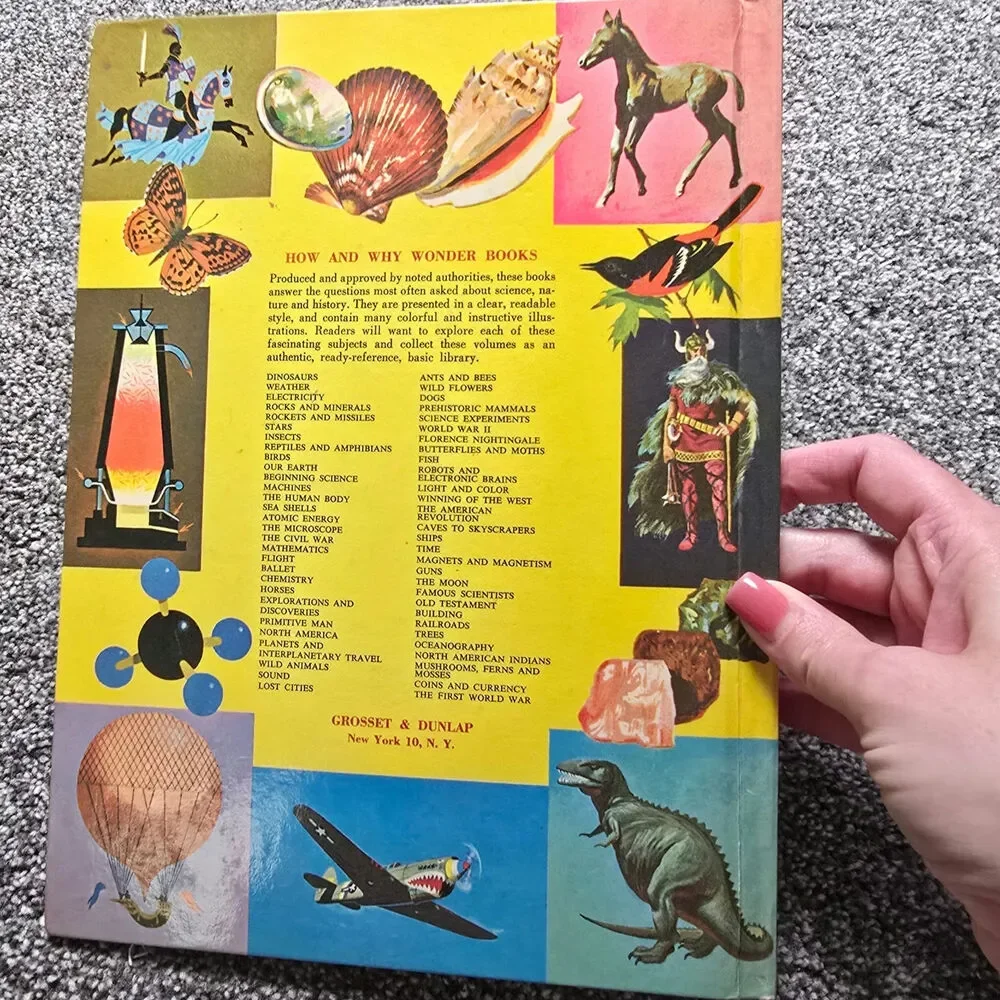62 Vintage Prehistoric Mammals Children's Book